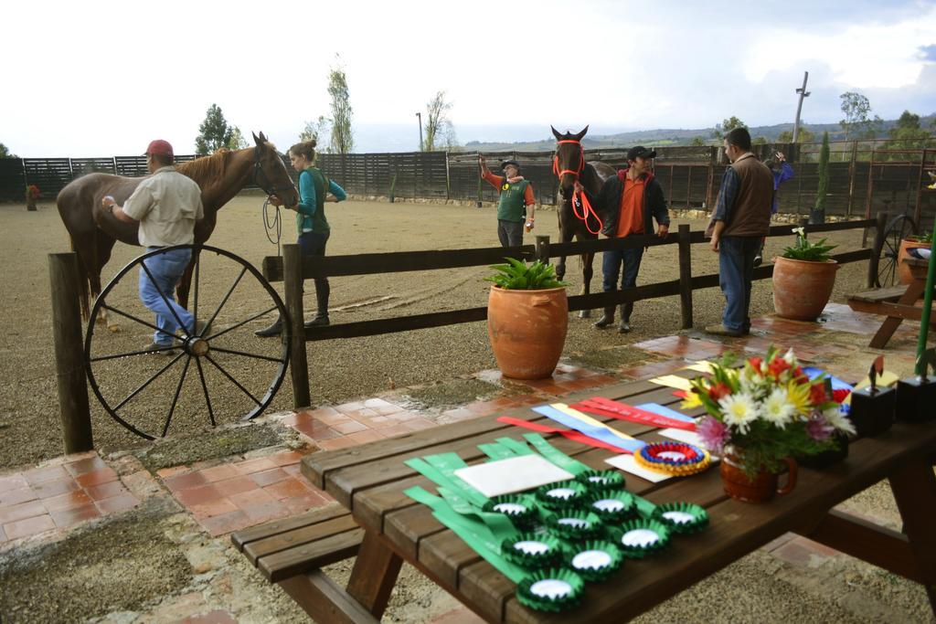 Affittacamere Hacienda Flamingo Villa de Leyva Esterno foto